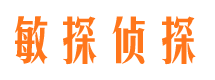 宾阳侦探公司